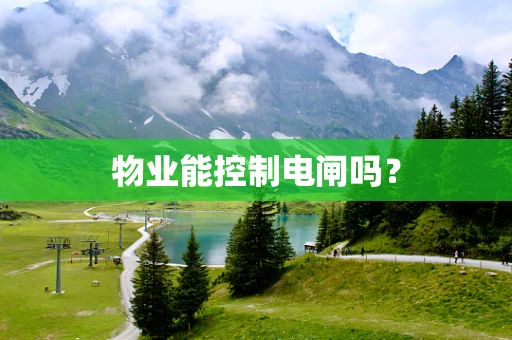 物业能控制电闸吗？