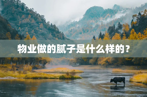 物业做的腻子是什么样的？