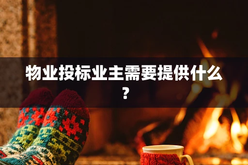 物业投标业主需要提供什么？