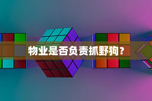 物业是否负责抓野狗？