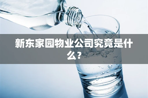 新东家园物业公司究竟是什么？