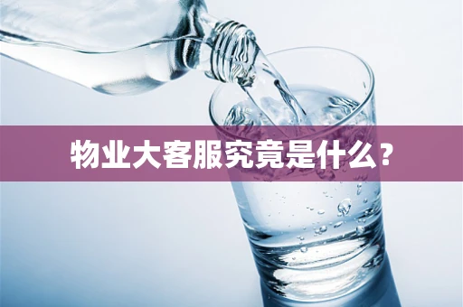 物业大客服究竟是什么？