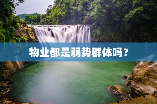 物业都是弱势群体吗？