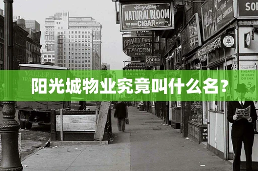 阳光城物业究竟叫什么名？