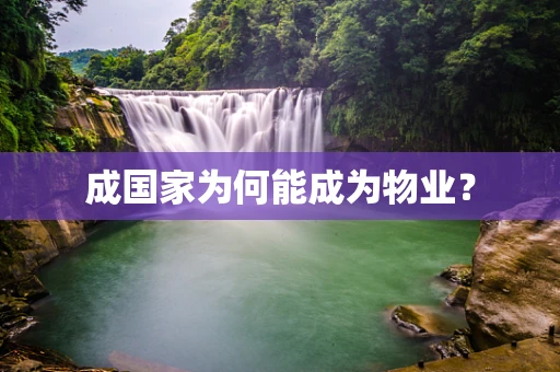 成国家为何能成为物业？