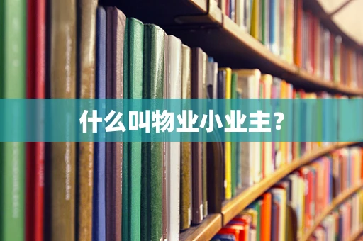 什么叫物业小业主？