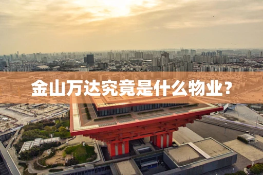 金山万达究竟是什么物业？