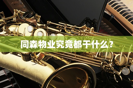 同森物业究竟都干什么？