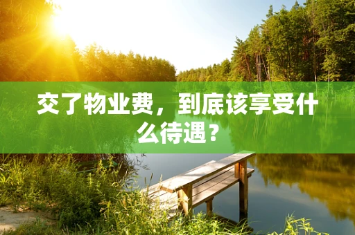 交了物业费，到底该享受什么待遇？