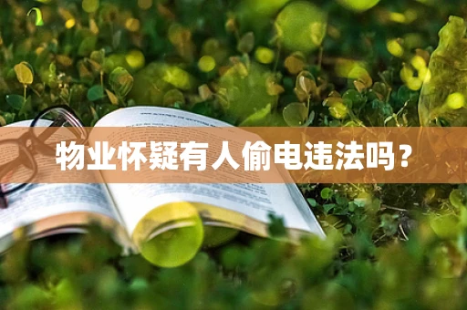 物业怀疑有人偷电违法吗？