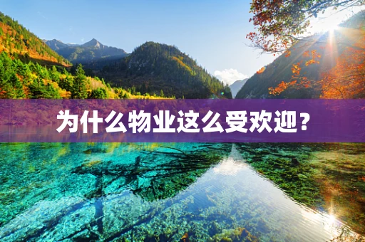 为什么物业这么受欢迎？