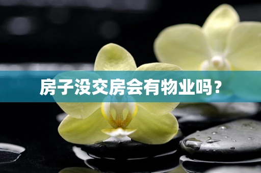 房子没交房会有物业吗？