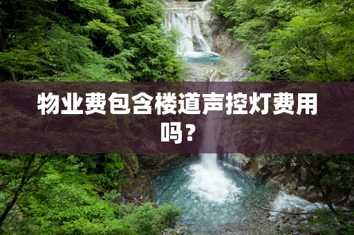 物业费包含楼道声控灯费用吗？