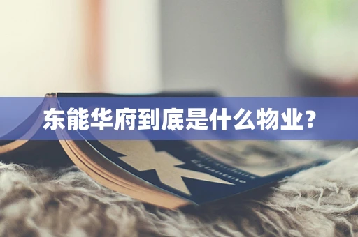 东能华府到底是什么物业？