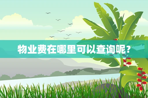 物业费在哪里可以查询呢？