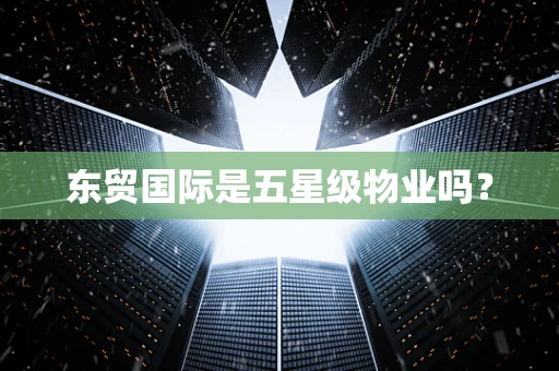 东贸国际是五星级物业吗？