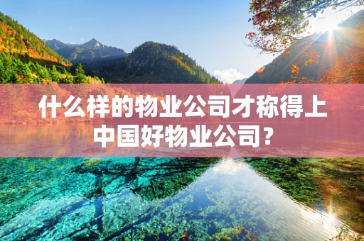 什么样的物业公司才称得上中国好物业公司？