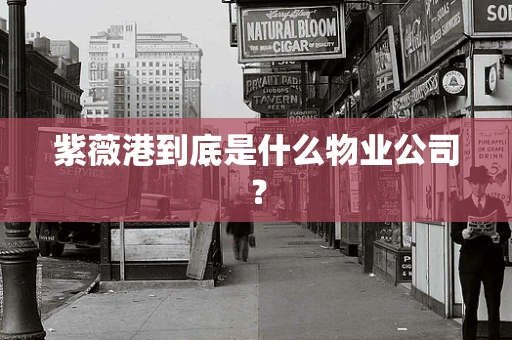 紫薇港到底是什么物业公司？