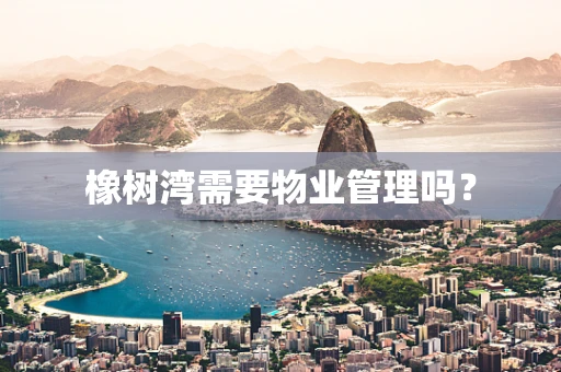 橡树湾需要物业管理吗？