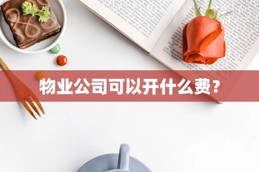 物业公司可以开什么费？