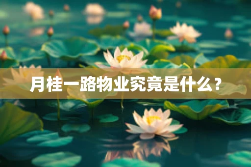 月桂一路物业究竟是什么？