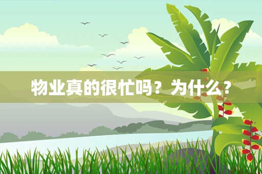 物业真的很忙吗？为什么？