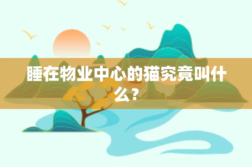 睡在物业中心的猫究竟叫什么？