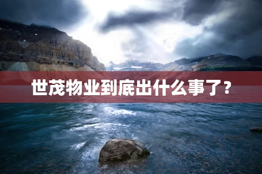 世茂物业到底出什么事了？