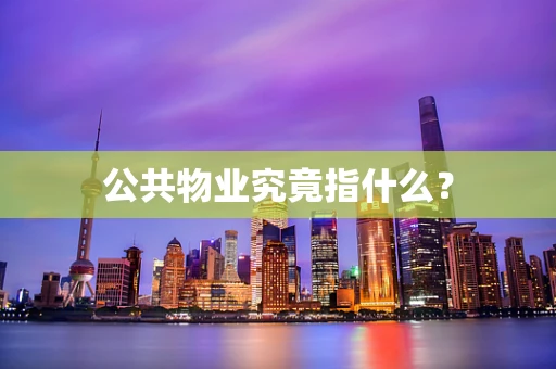 公共物业究竟指什么？