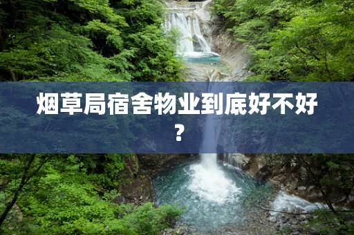 烟草局宿舍物业到底好不好？