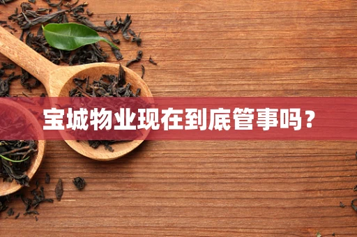 宝城物业现在到底管事吗？