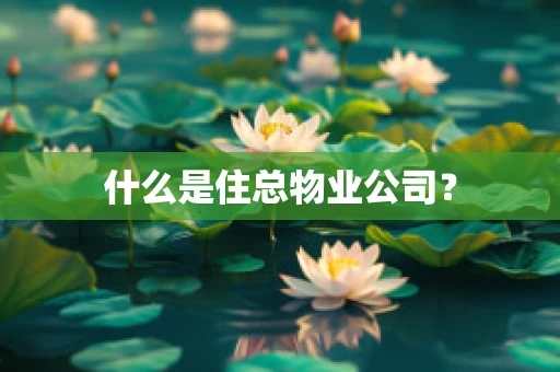什么是住总物业公司？