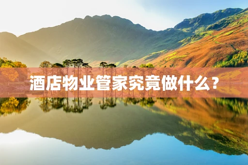 酒店物业管家究竟做什么？