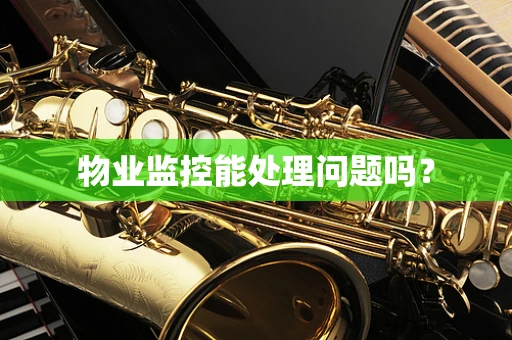 物业监控能处理问题吗？
