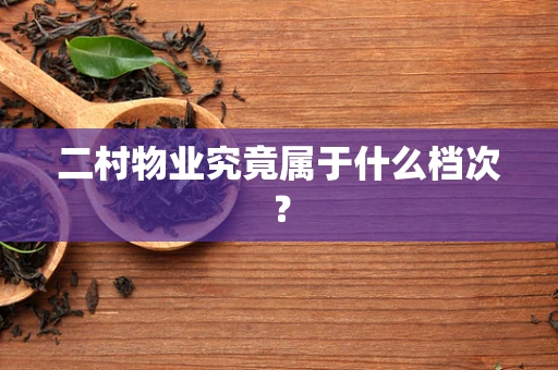 二村物业究竟属于什么档次？