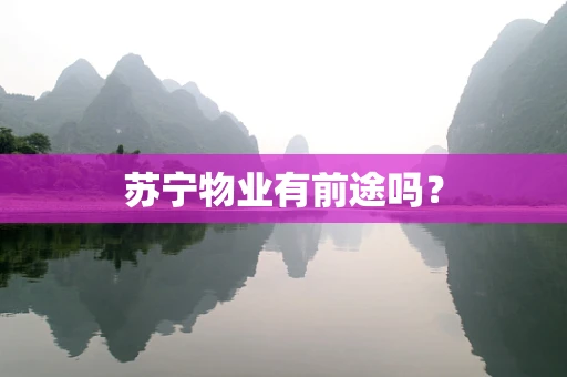 苏宁物业有前途吗？