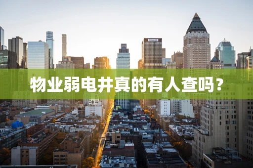 物业弱电井真的有人查吗？