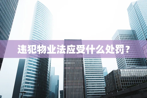 违犯物业法应受什么处罚？
