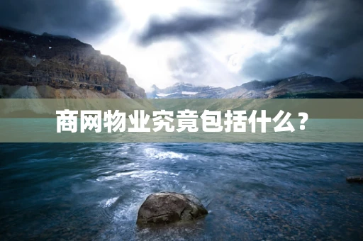 商网物业究竟包括什么？
