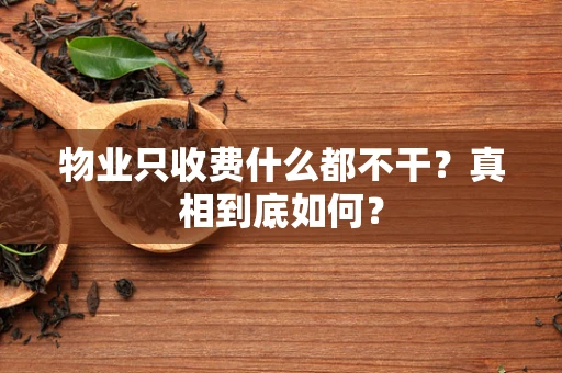 物业只收费什么都不干？真相到底如何？
