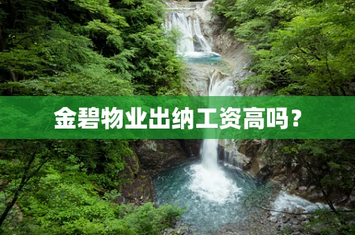 金碧物业出纳工资高吗？
