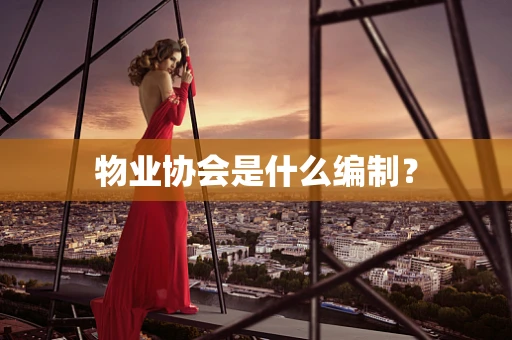 物业协会是什么编制？