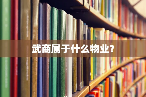 武商属于什么物业？