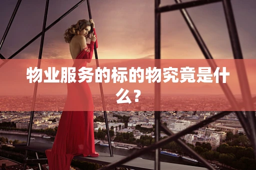 物业服务的标的物究竟是什么？