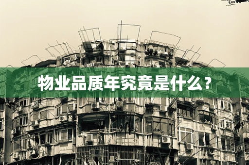 物业品质年究竟是什么？