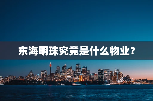 东海明珠究竟是什么物业？