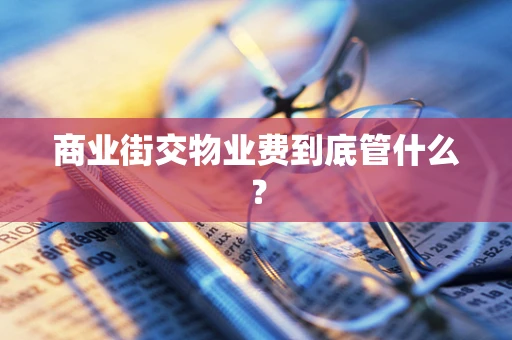 商业街交物业费到底管什么？
