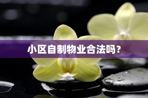 小区自制物业合法吗？