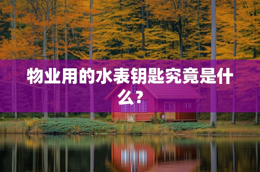 物业用的水表钥匙究竟是什么？
