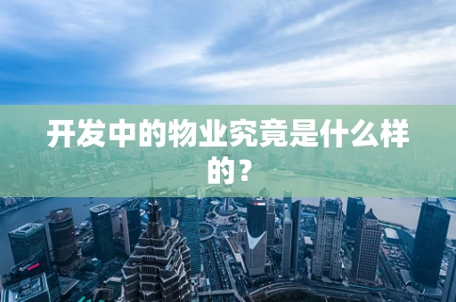 开发中的物业究竟是什么样的？